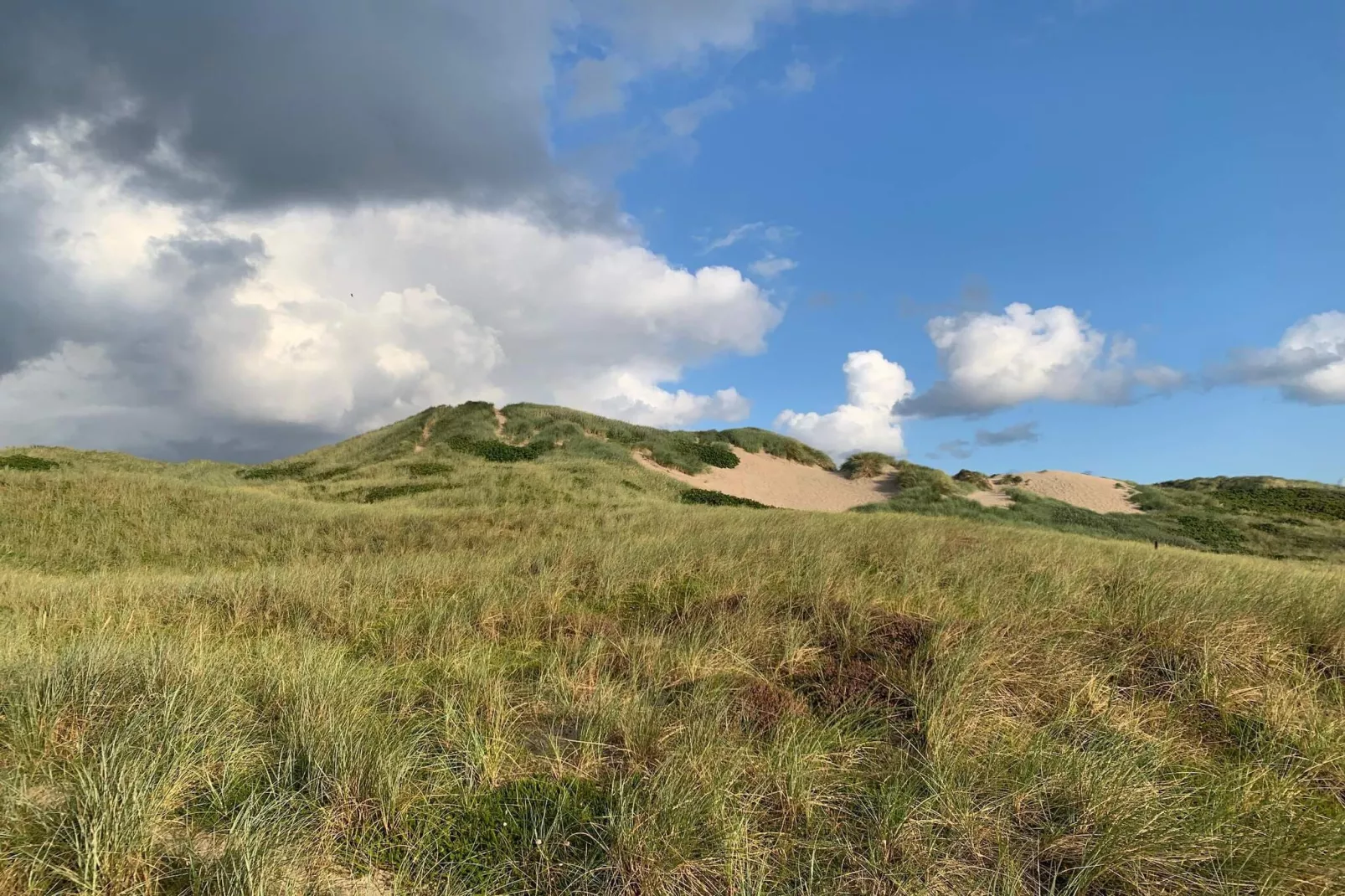 6 person holiday home in Hvide Sande-Untagged