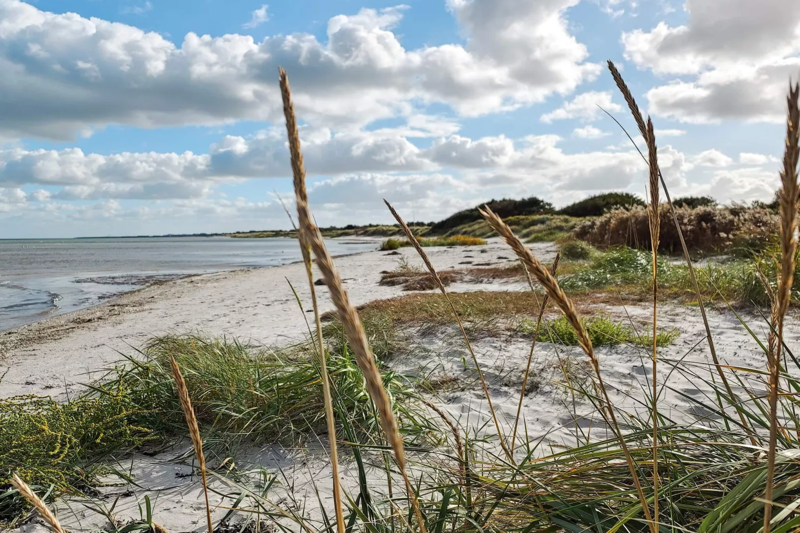 Maison de vacances pour 8 a Væggerløse-Vue sur l'eau
