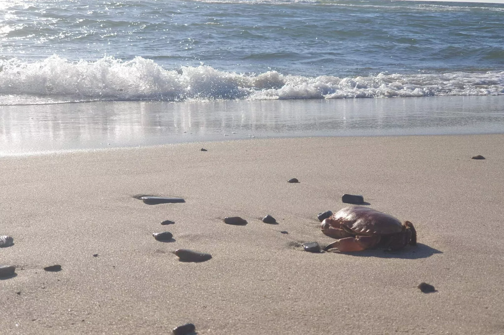 Maison de vacances pour 8 a Ringkøbing-Vue sur l'eau