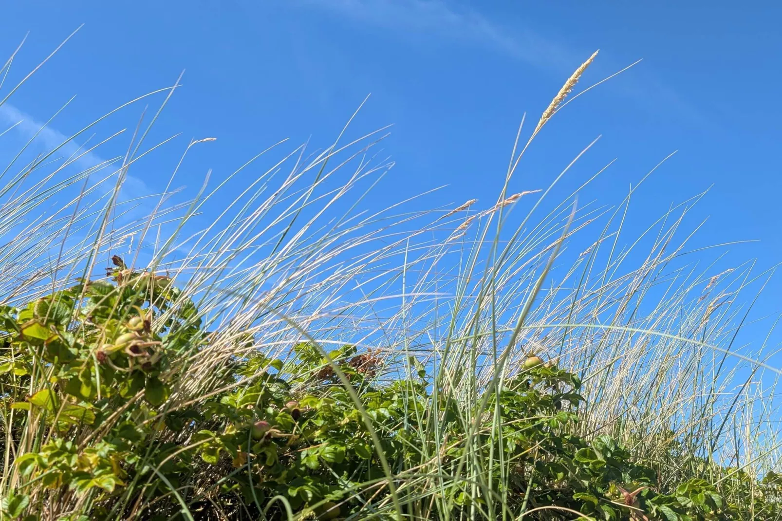 8 person holiday home in Melby-By Traum-Untagged