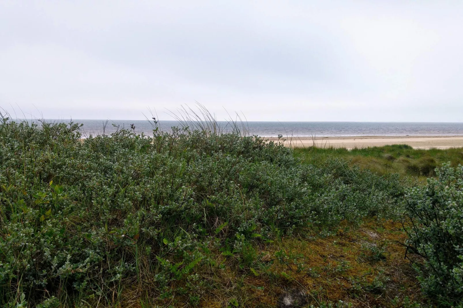 Retraite confortable a Sonderho -- By Traum Ferienwohnungen-Non tagué