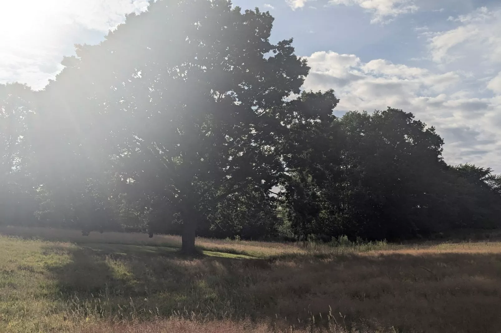 Retraite spacieuse avec vue sur le fjord -- By Traum Ferienwohnungen-Non tagué