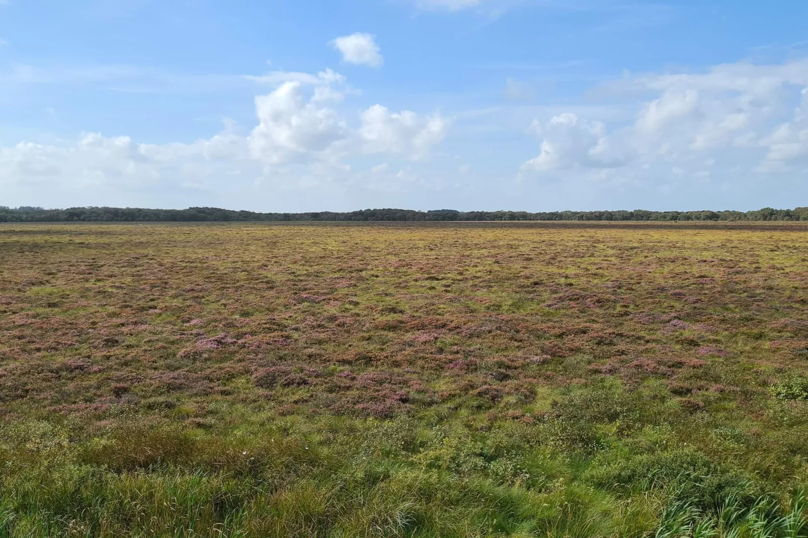Maison rustique avec cheminée-Non tagué