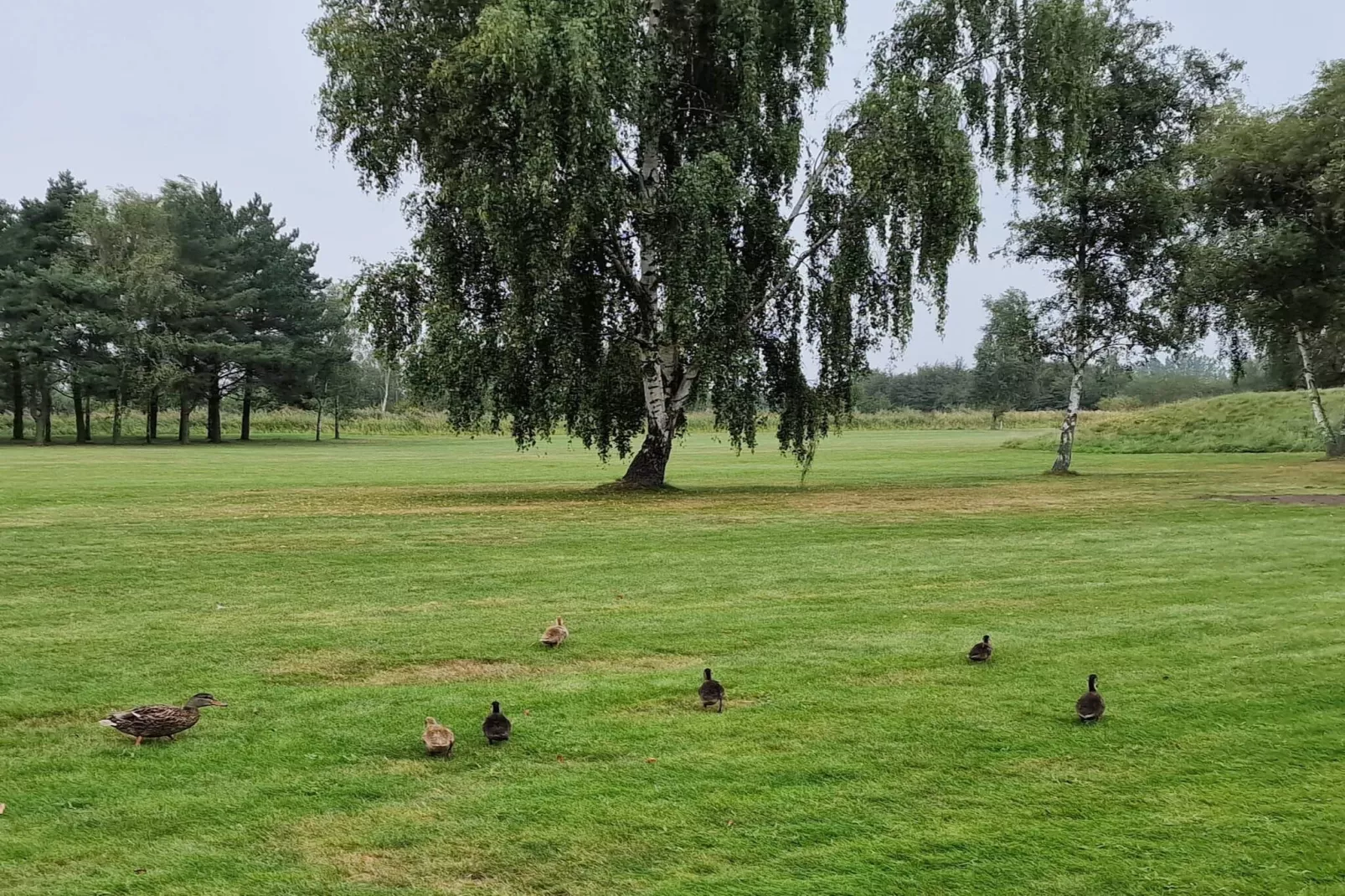 6 person holiday home in Idestrup-By Traum-Untagged