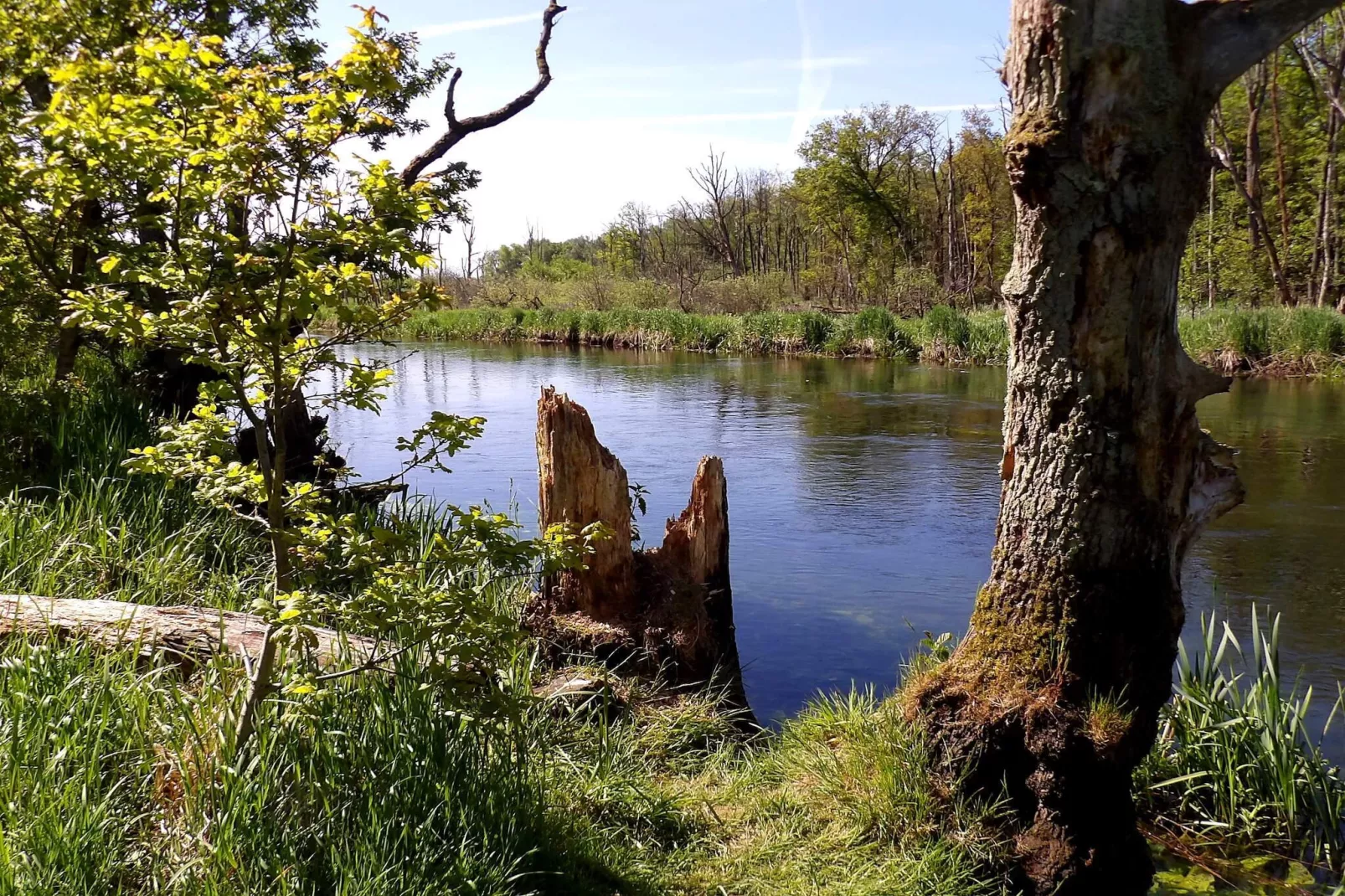 10 person holiday home in Fårvang-By Traum-Water view