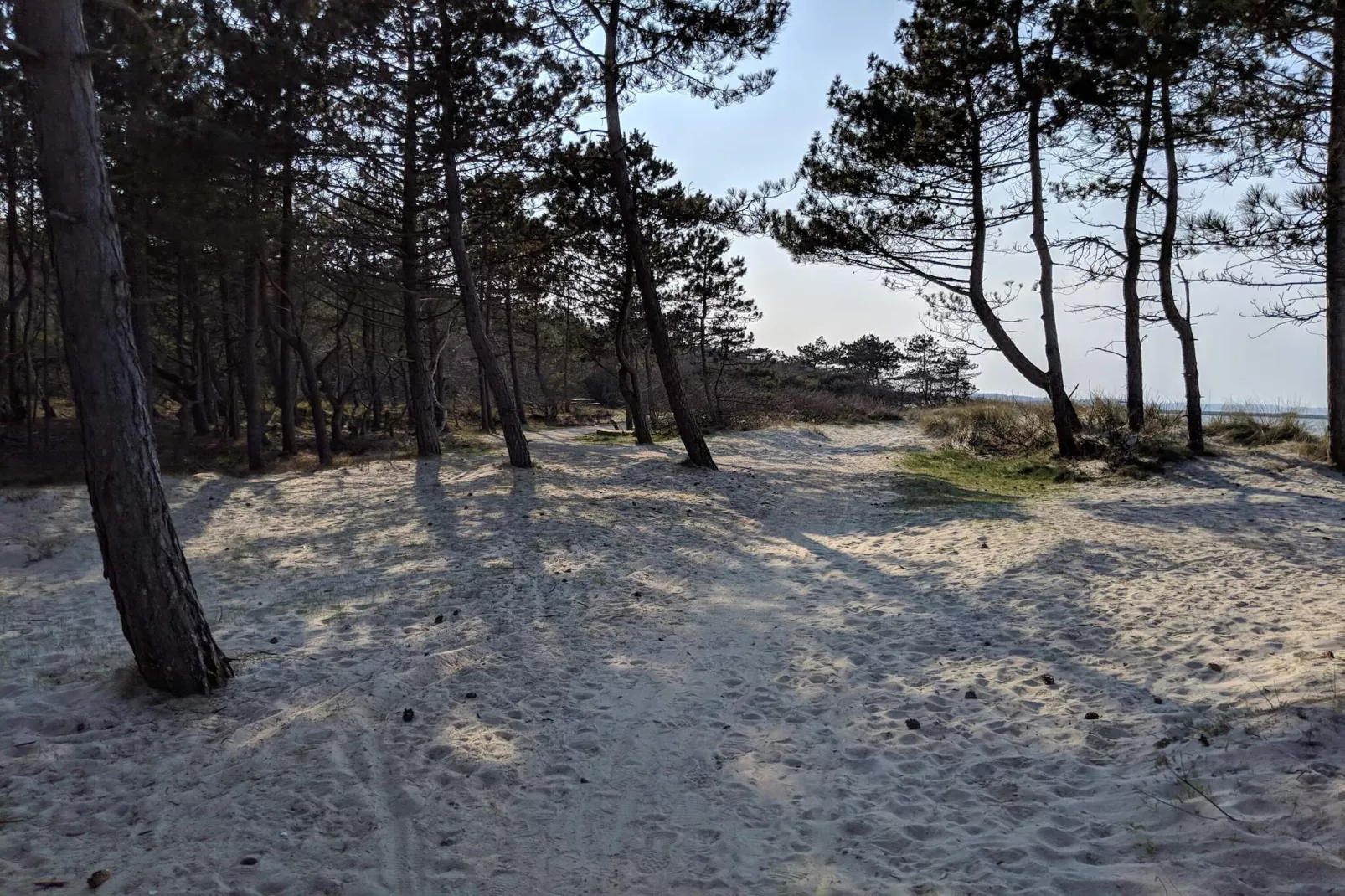 6 person holiday home in Dronningmølle-By Traum-Untagged