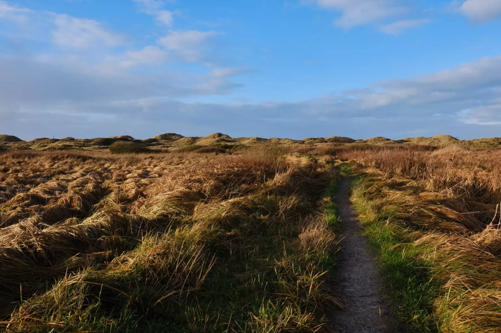 9 Personen Ferienhaus in Blokhus-By Traum-Nicht zugeordnet