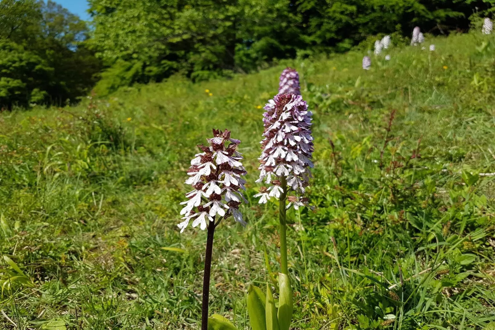 Maison de vacances pour 6 a Præstø-By Traum-Non tagué