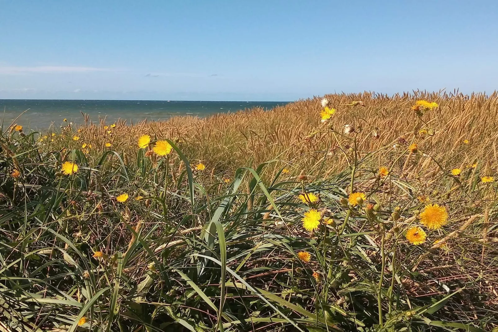 Luxurioses Pool-Retreat am Meer -- By Traum Ferienwohnungen-Nicht zugeordnet