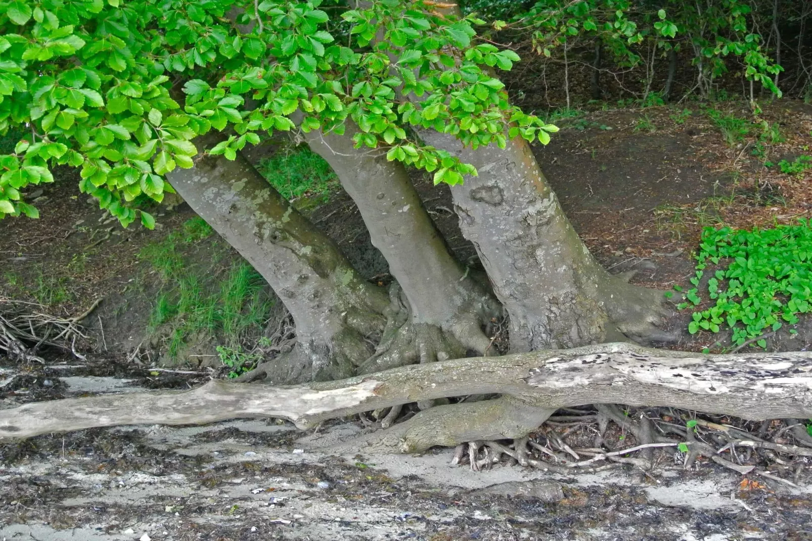 8 Personen Ferienhaus in Hejls-By Traum-Nicht zugeordnet