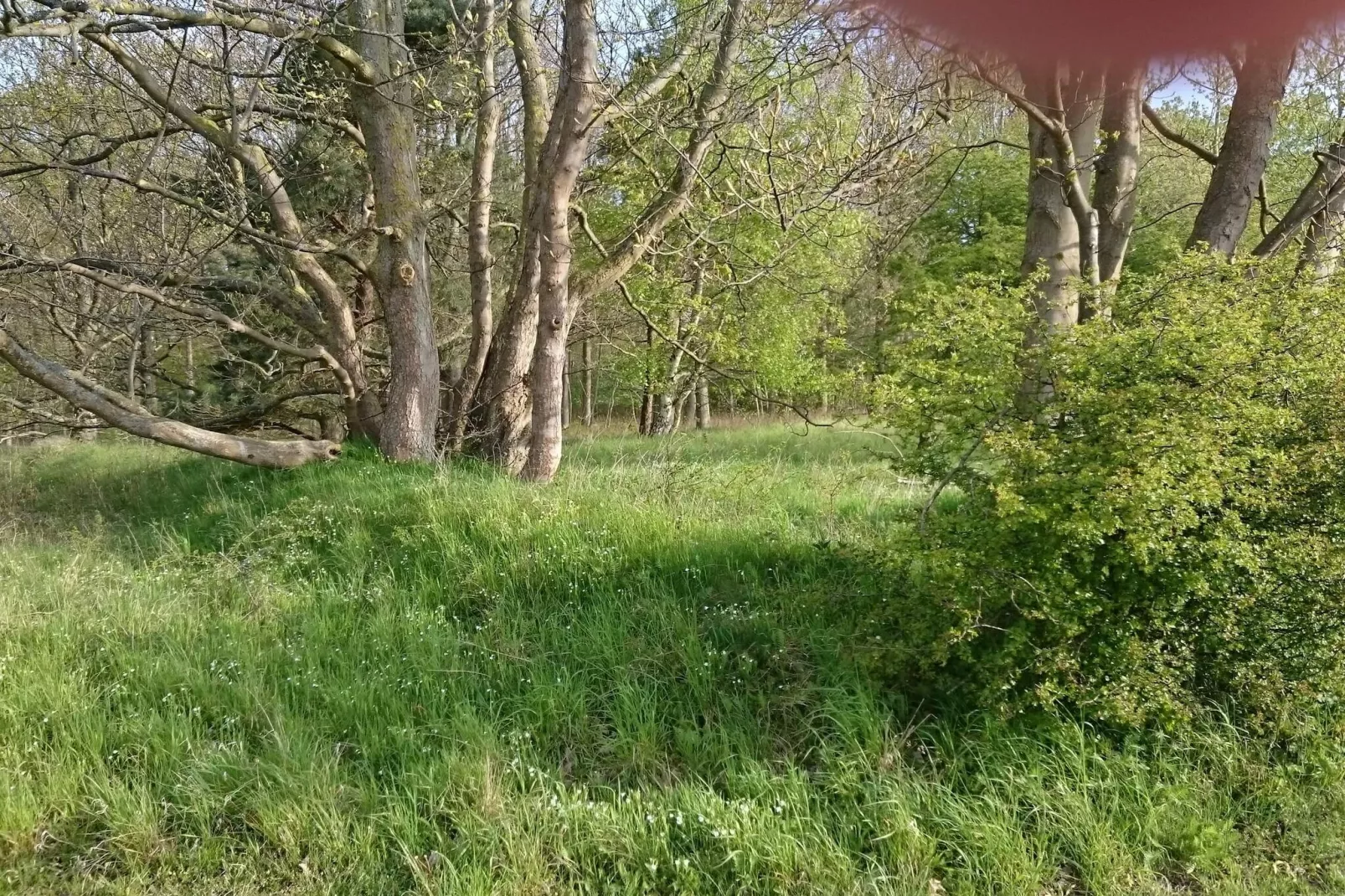 Seaside Escape in Praesto - By Traum Ferienwohnungen-Untagged