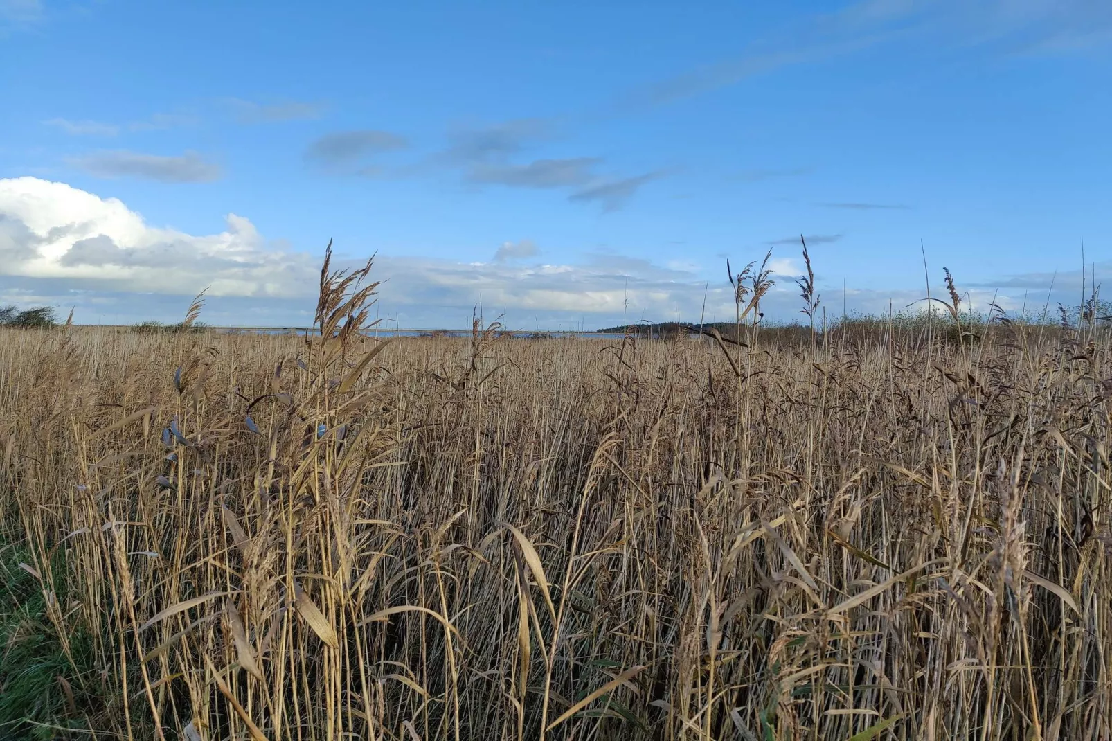 8 Personen Ferienhaus in Lemvig-By Traum-Nicht zugeordnet