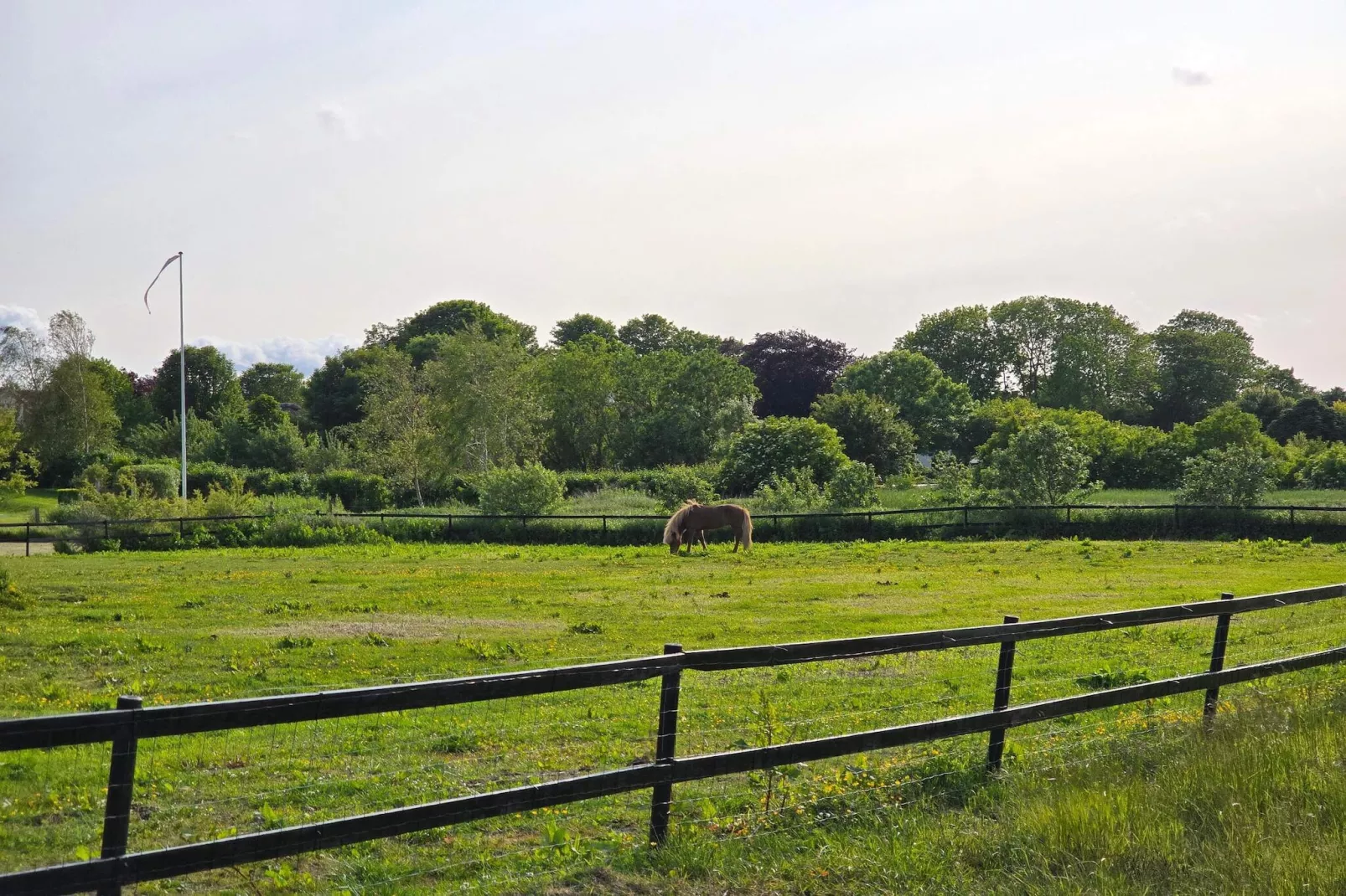 6 person holiday home in Nibe-By Traum-Untagged
