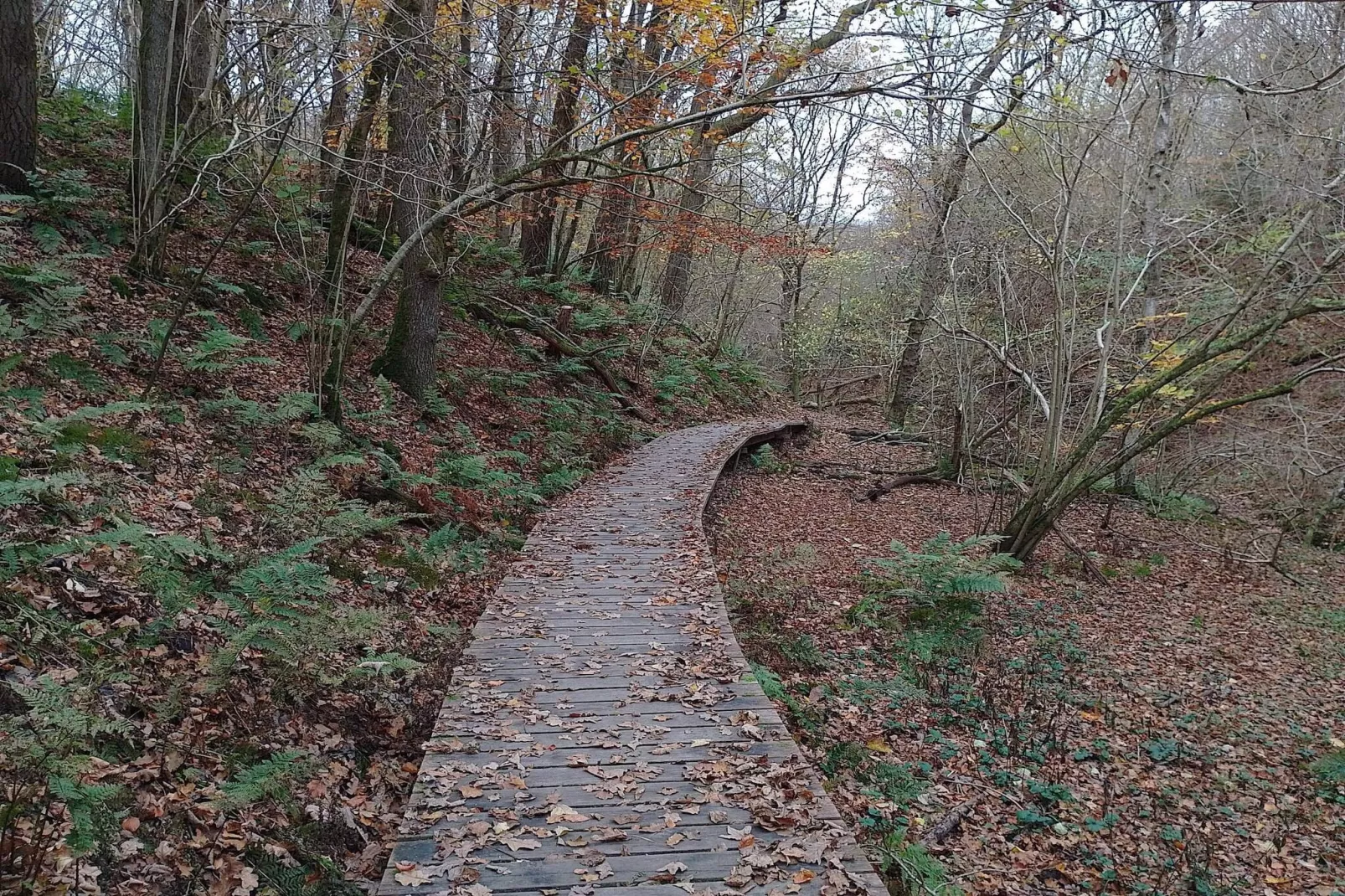 Maison de vacances pour 16 a Brovst-By Traum-Non tagué