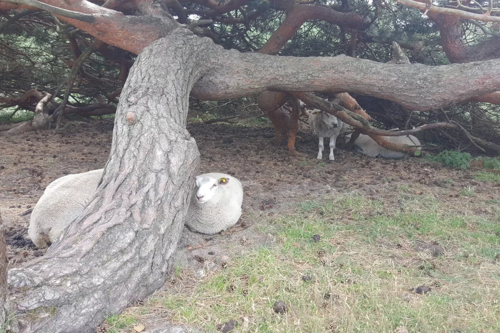 Luxury Retreat with Pool - By Traum Ferienwohnungen-Untagged