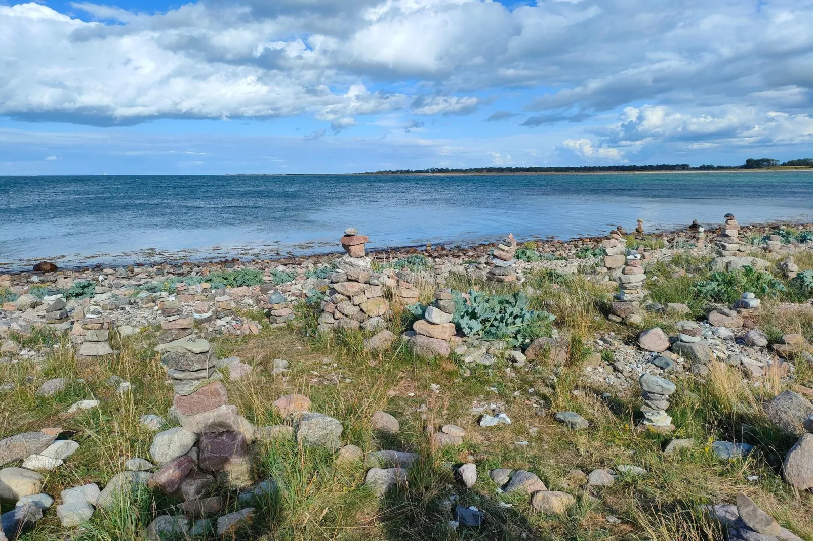4 Personen Ferienhaus in Martofte-By Traum-Wasserblick