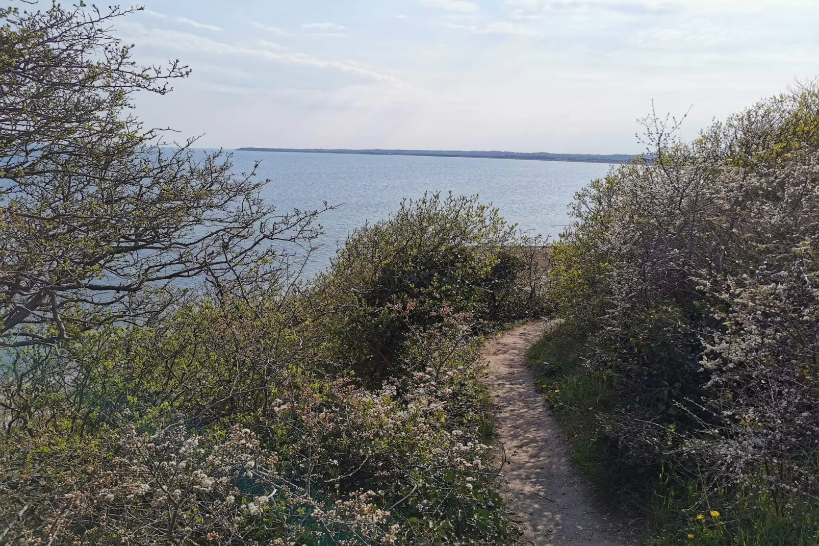 8 Personen Ferienhaus in Ebeltoft-By Traum-Wasserblick