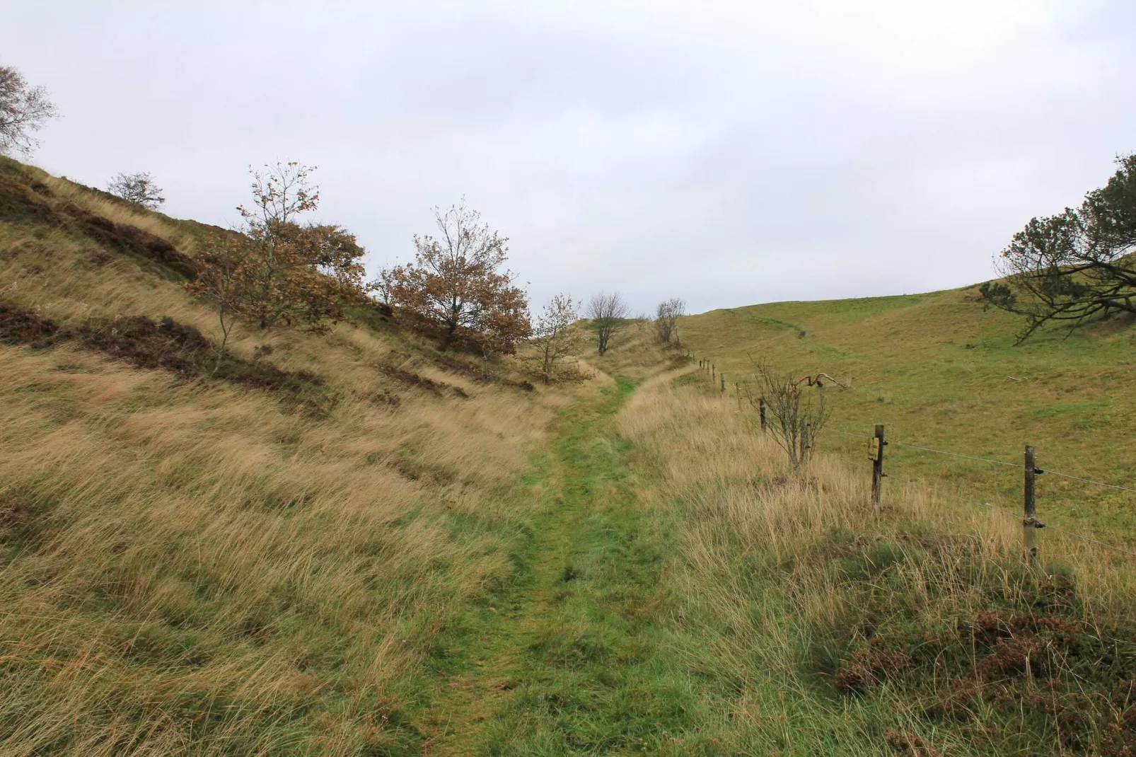 Scenic Retreat in Boddum - By Traum Ferienwohnungen-Untagged