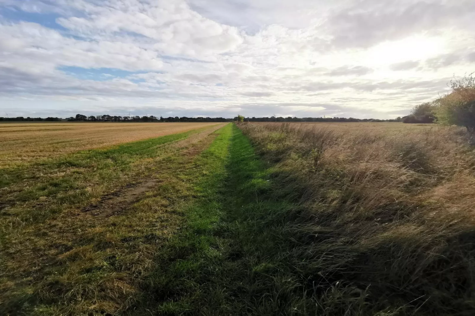 6 person holiday home in Dannemare-By Traum-Untagged