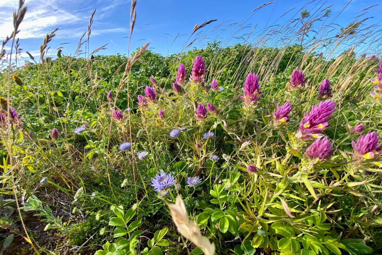 Tranquil Beach Retreat - By Traum Ferienwohnungen-Untagged