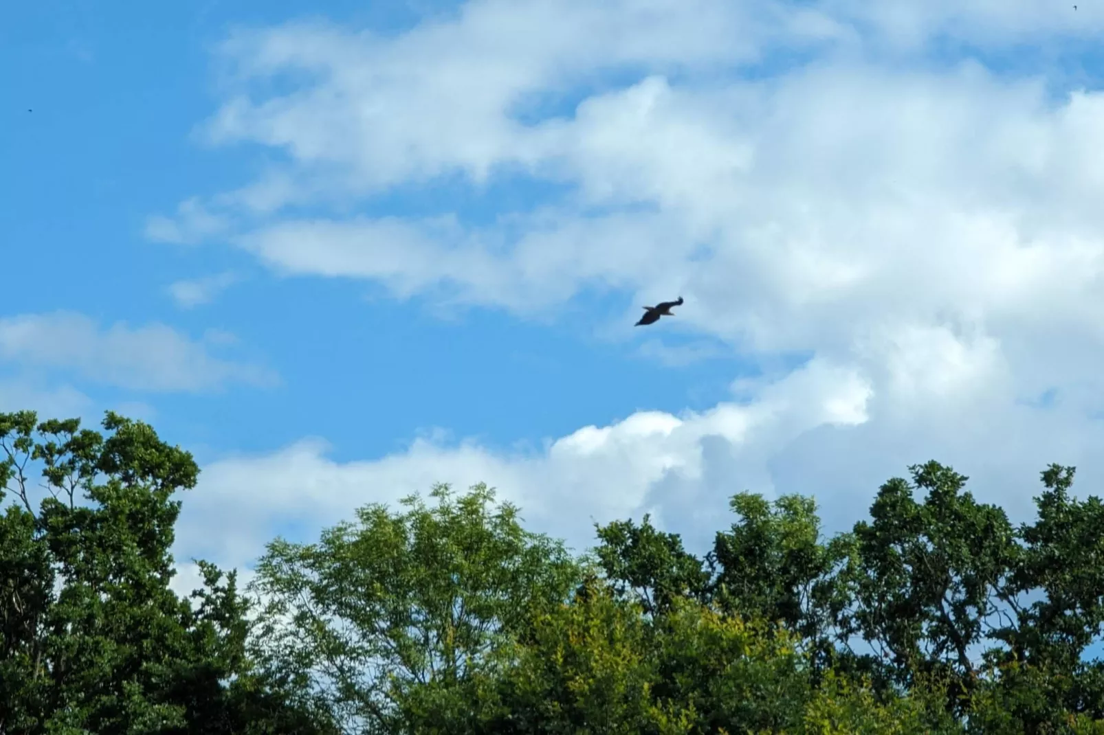Maison de vacances pour 4 a BERGKVARA-By Traum-Non tagué