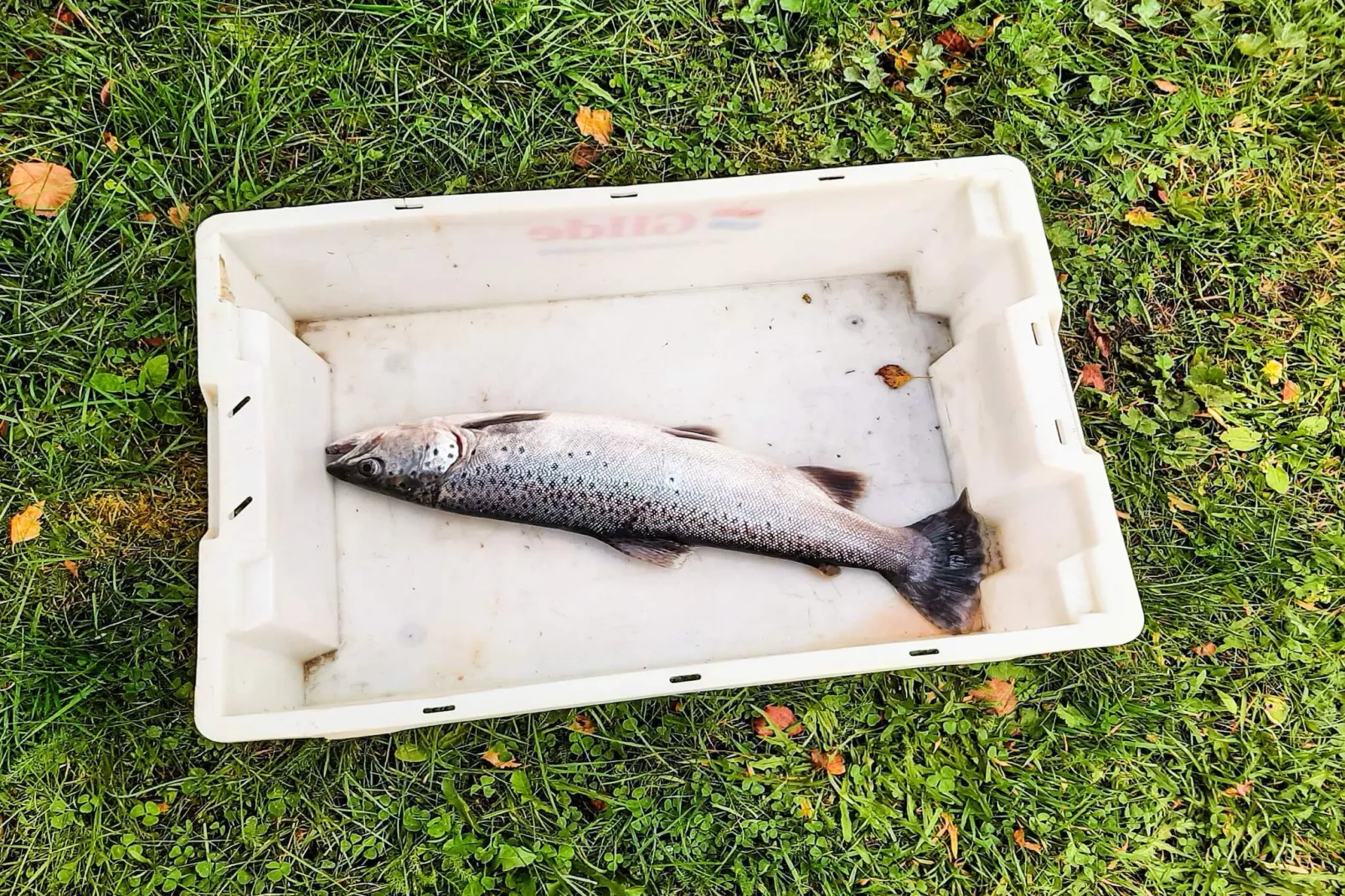 6 Personen Ferienhaus in olden-By Traum-Nicht zugeordnet