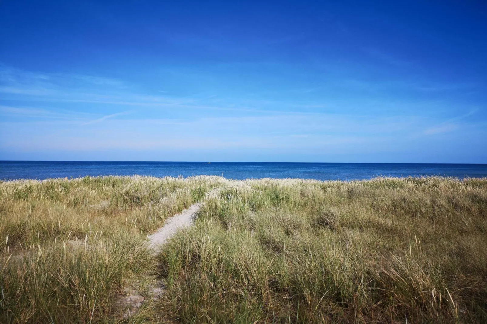 6 person holiday home in Hals-By Traum-Untagged