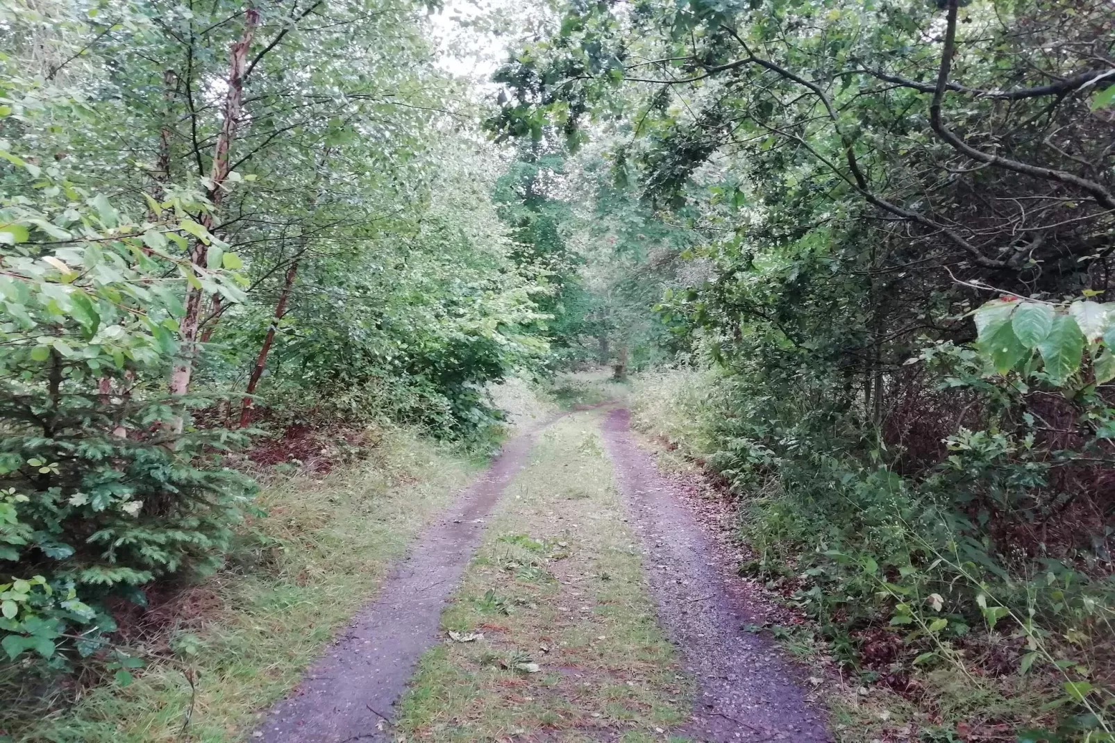 Familienfreundliches Haus am Strand-Nicht zugeordnet