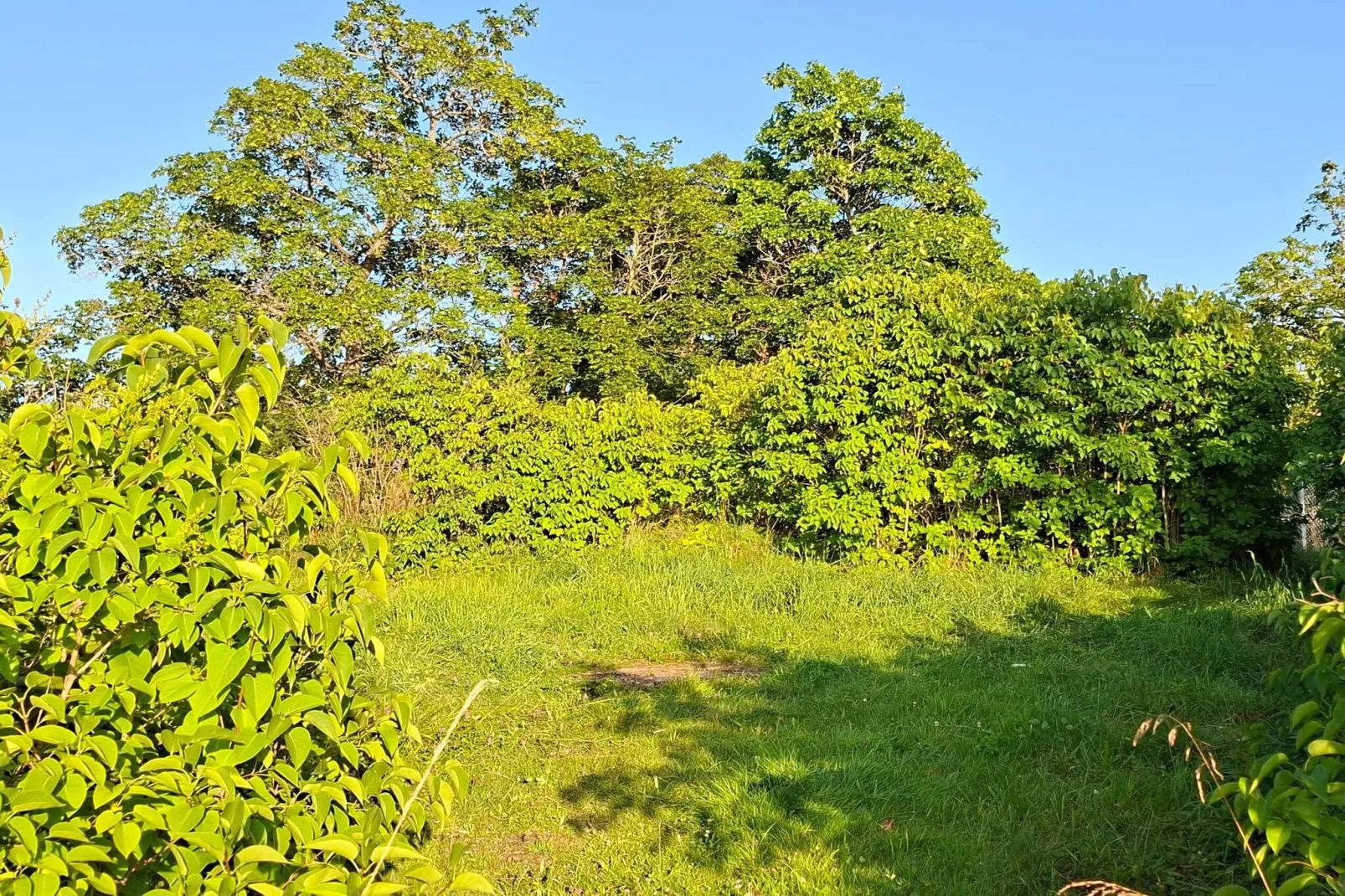 4 Personen Ferienhaus in TORSHÄLLA-By Traum-Nicht zugeordnet