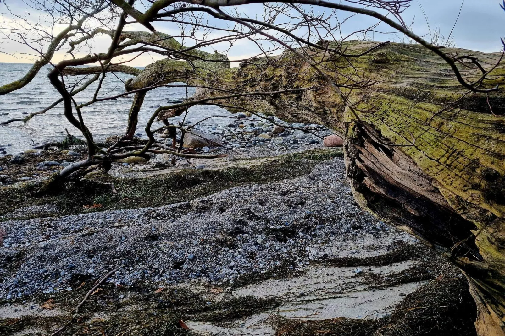 4 Personen Ferienhaus in Faxe Ladeplads-By Traum-Wasserblick