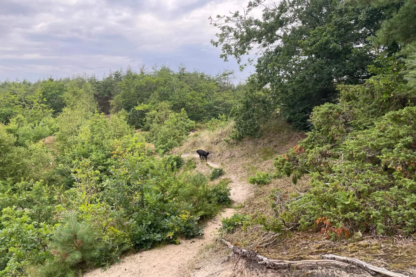 Maison de vacances pour 6 a Pandrup-Non tagué