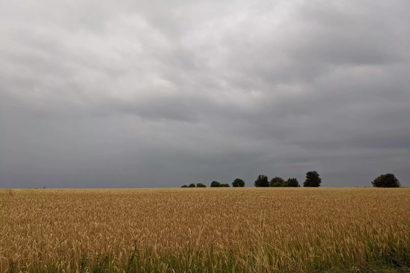 Retraite panoramique a Borgnaes -- By Traum Ferienwohnungen-Non tagué