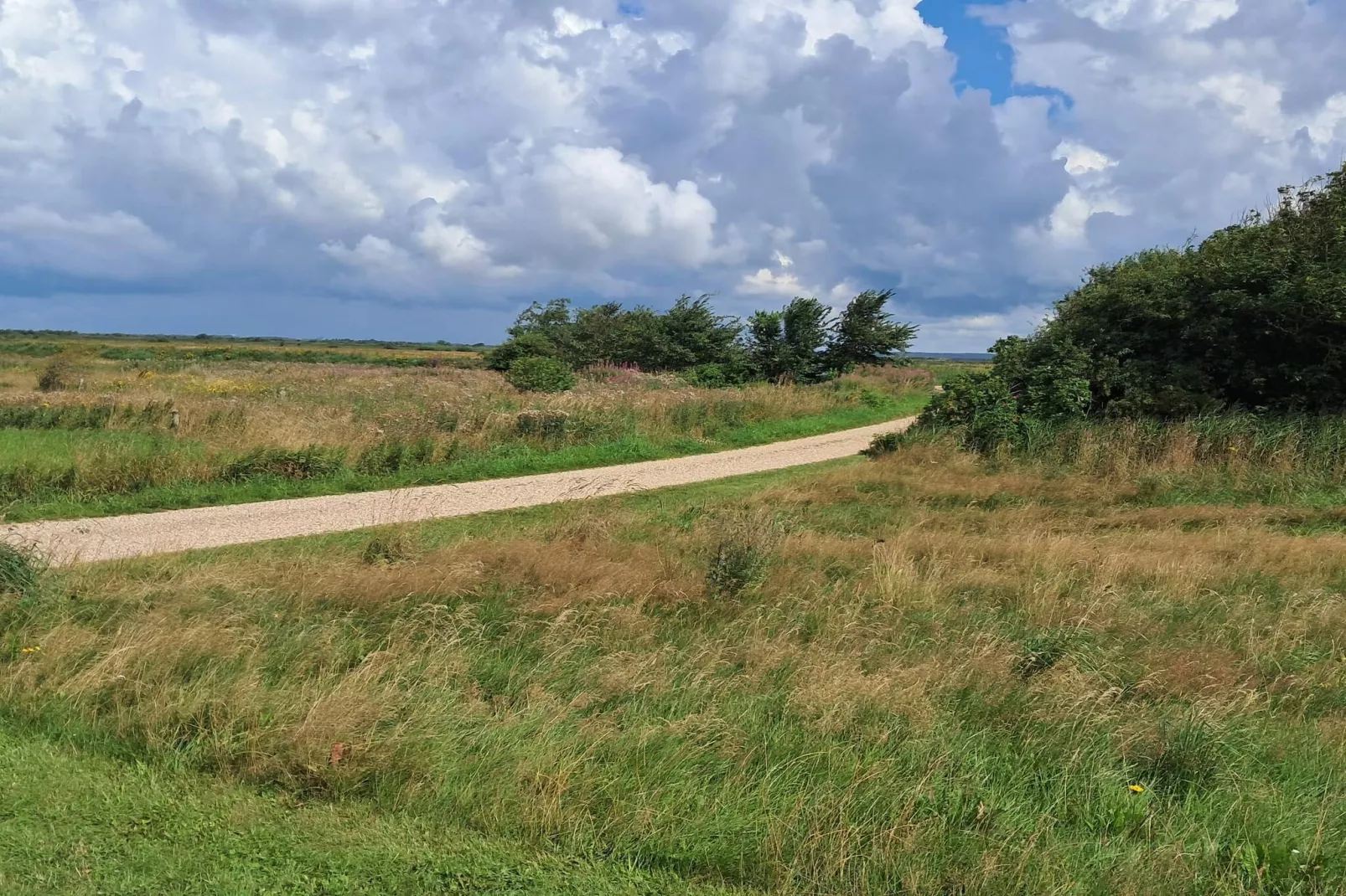 10 Personen Ferienhaus in Tarm-By Traum-Im Freien