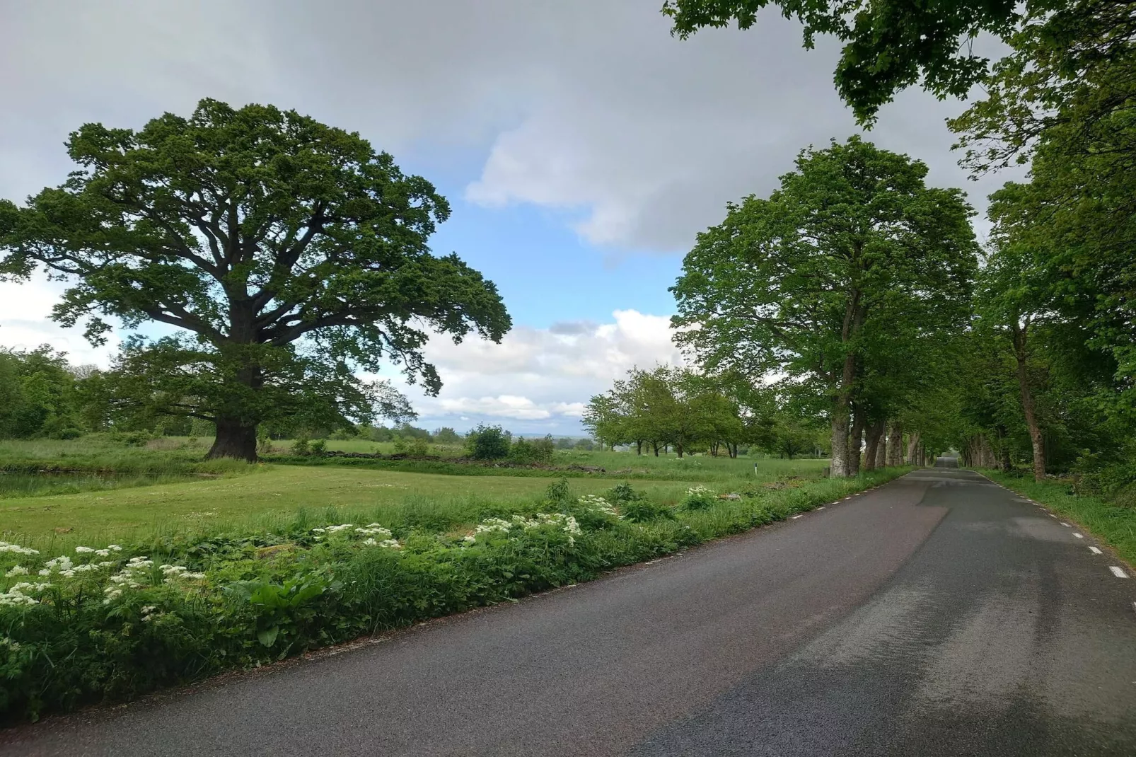 4 person holiday home in EVERÖD-By Traum-Untagged