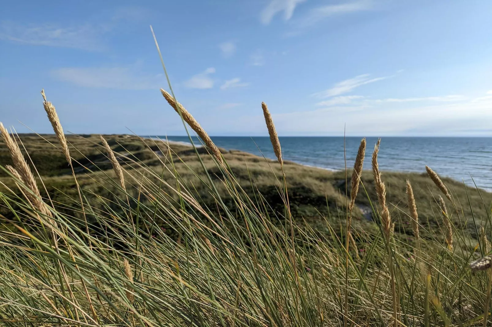 7 person holiday home in Ulfborg-By Traum-Water view