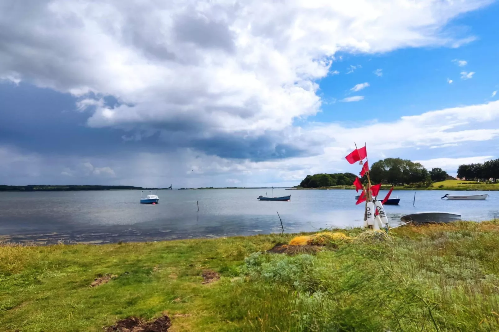 6 person holiday home in Haarby-By Traum-Water view