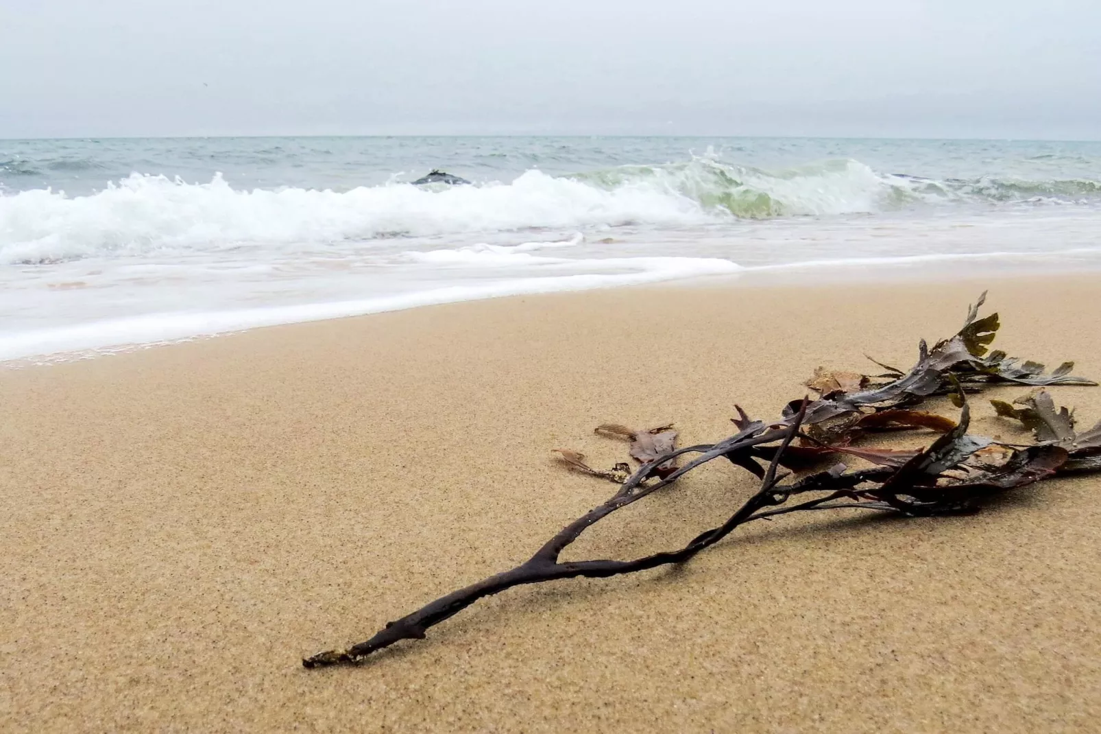 8 Personen Ferienhaus in Gilleleje-By Traum-Wasserblick