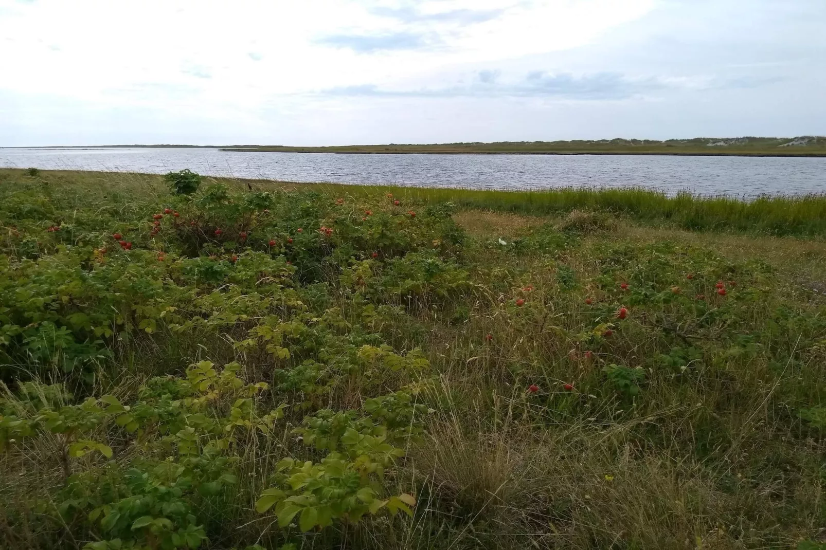 Maison de vacances pour 6 a Læsø-By Traum-Non tagué