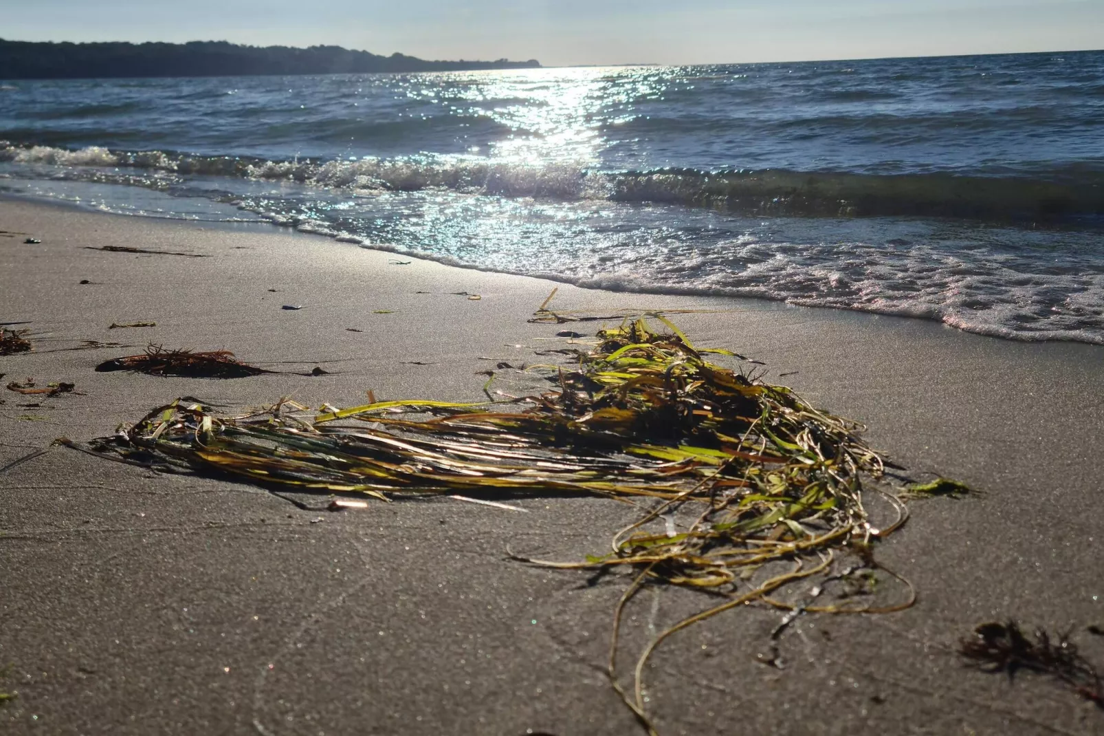 5 Personen Ferienhaus in Asnæs-By Traum-Wasserblick