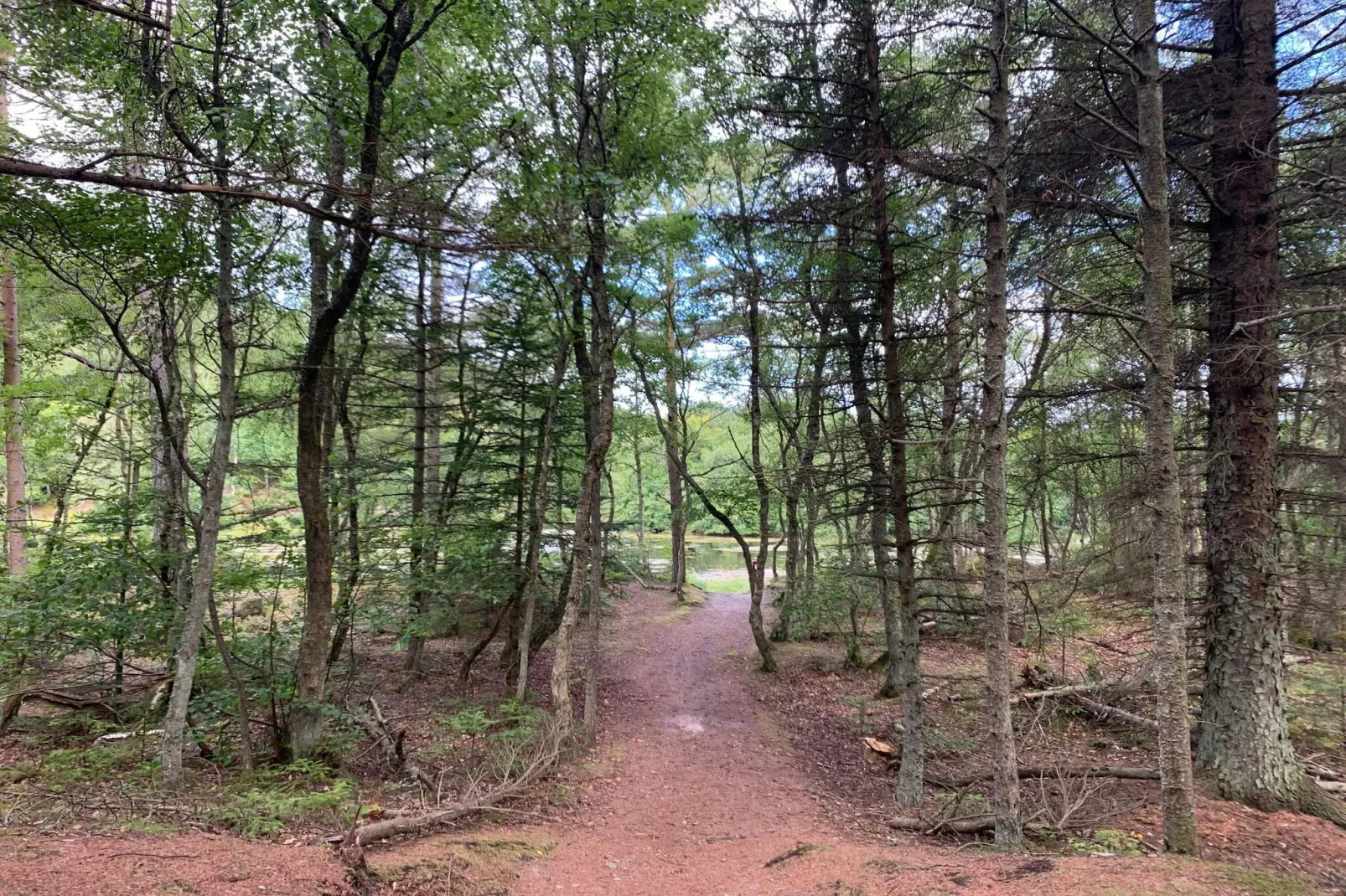 6 Personen Ferienhaus in Bindslev-By Traum-Nicht zugeordnet