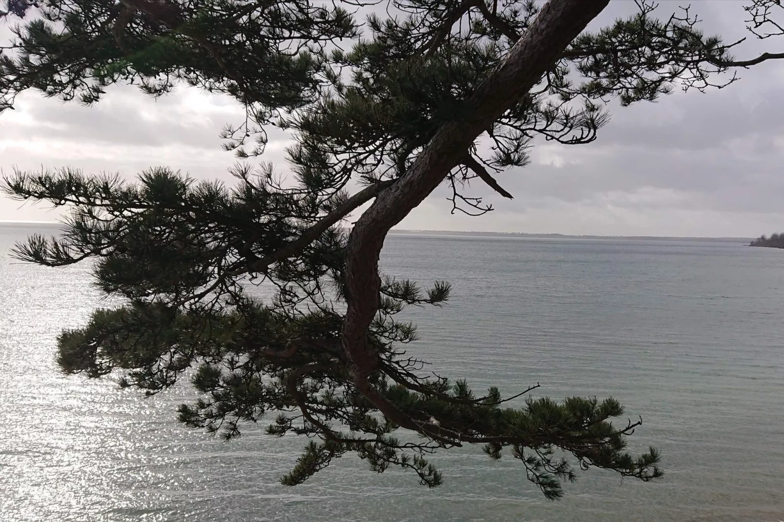 Maison de vacances pour 7 a Juelsminde-Vue sur l'eau