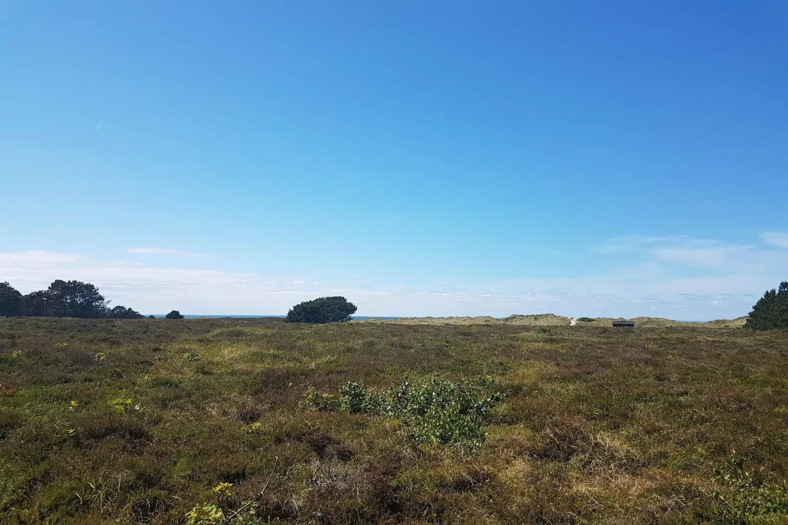 Maison de vacances pour 8 a Læsø-By Traum-Non tagué