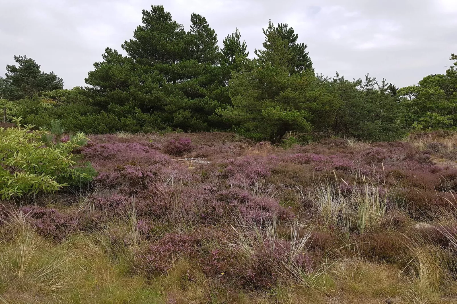 Retraite moderne près de Vadehavet -- By Traum Ferienwohnungen-Non tagué