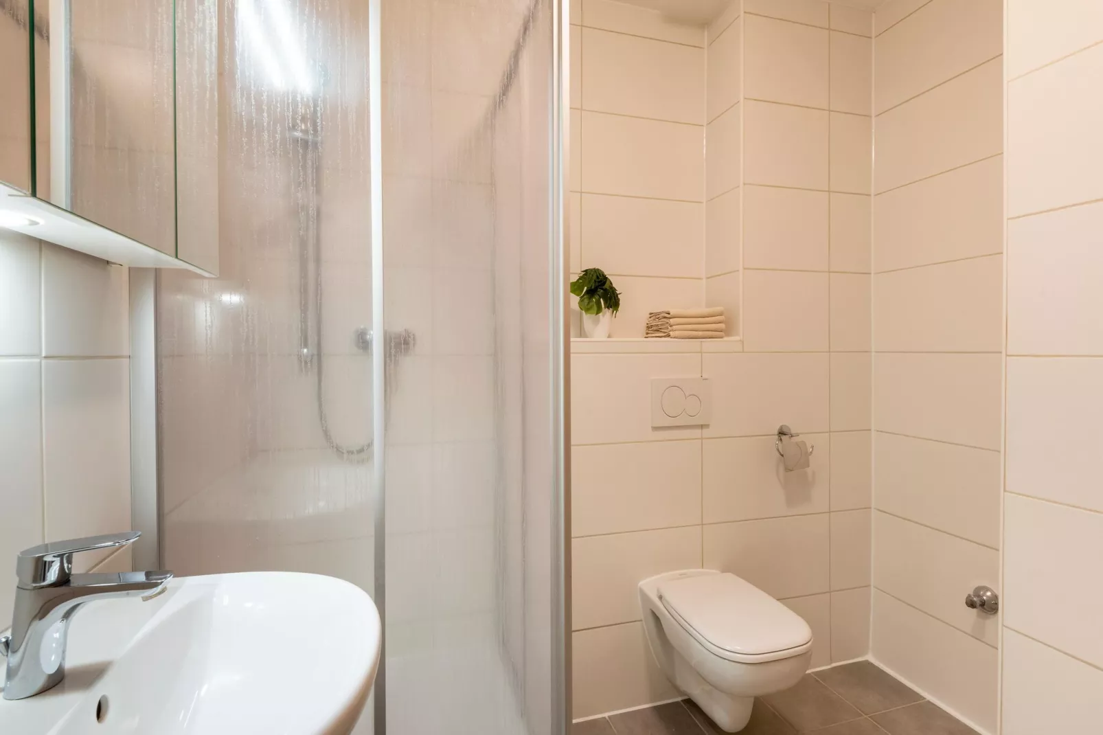 Apartment 1SZ-Bathroom