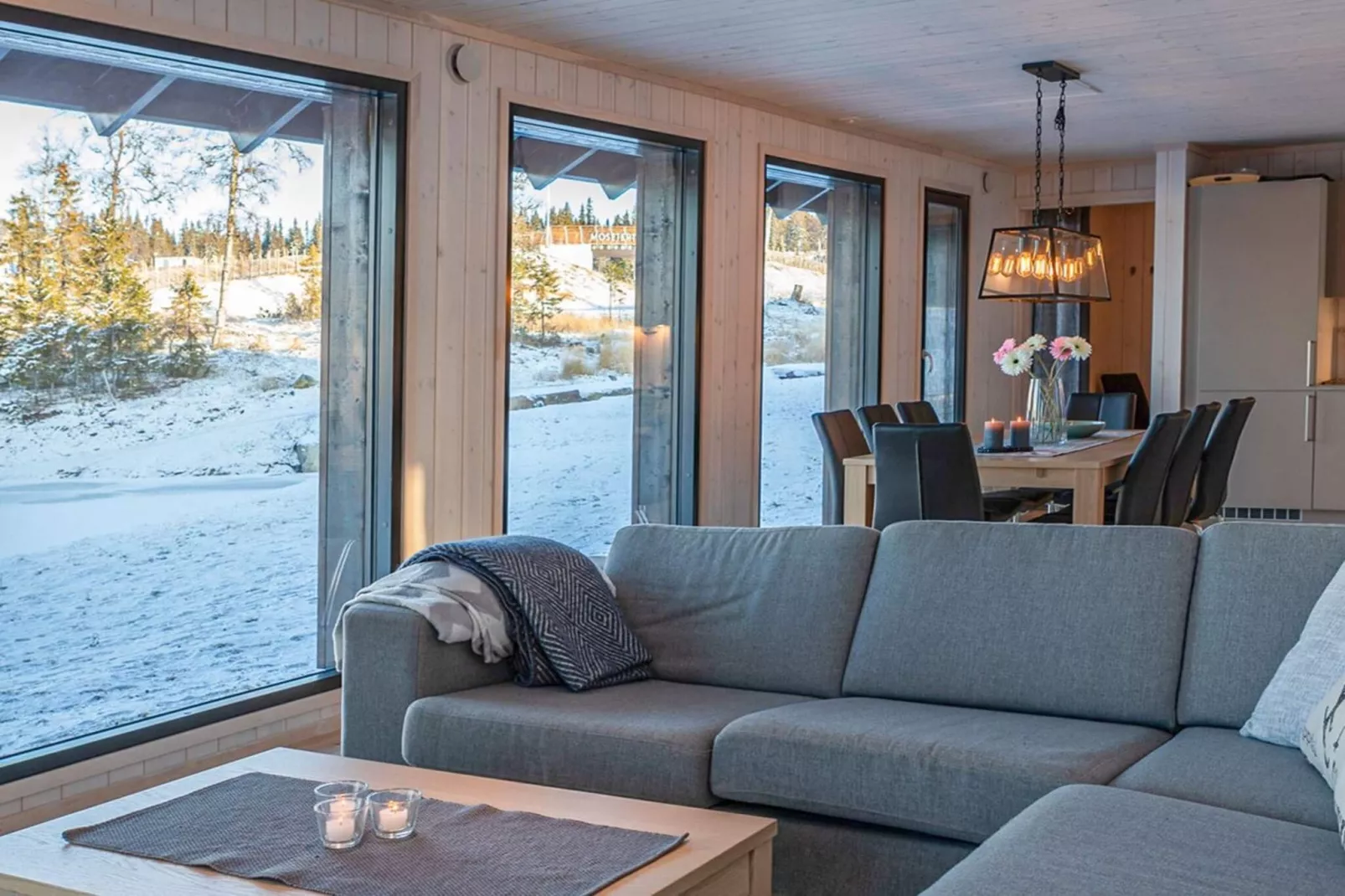 HAFJELL 93230-Intérieur