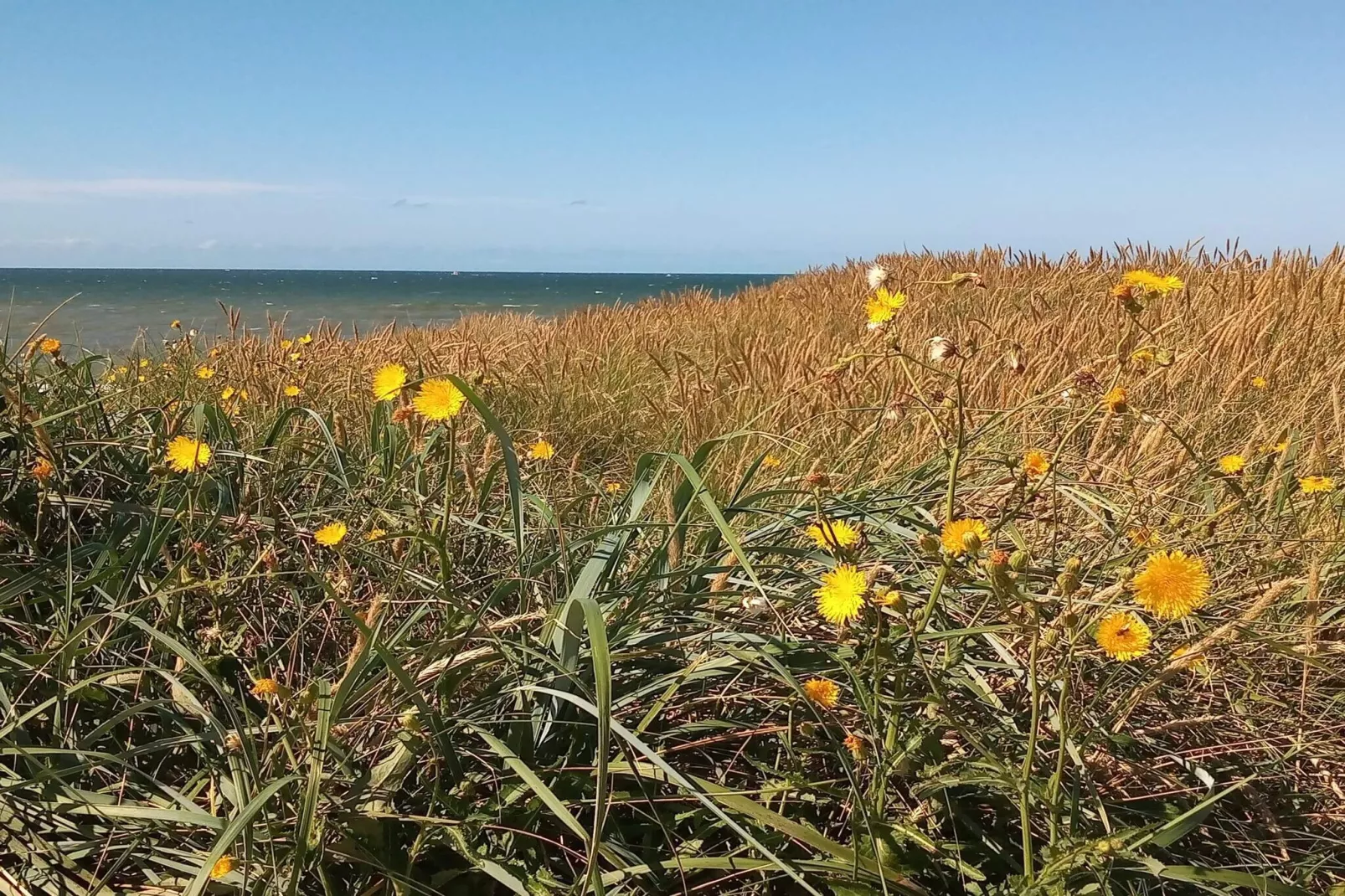 Seaside Retreat with Sauna - By Traum Ferienwohnungen - Untagged