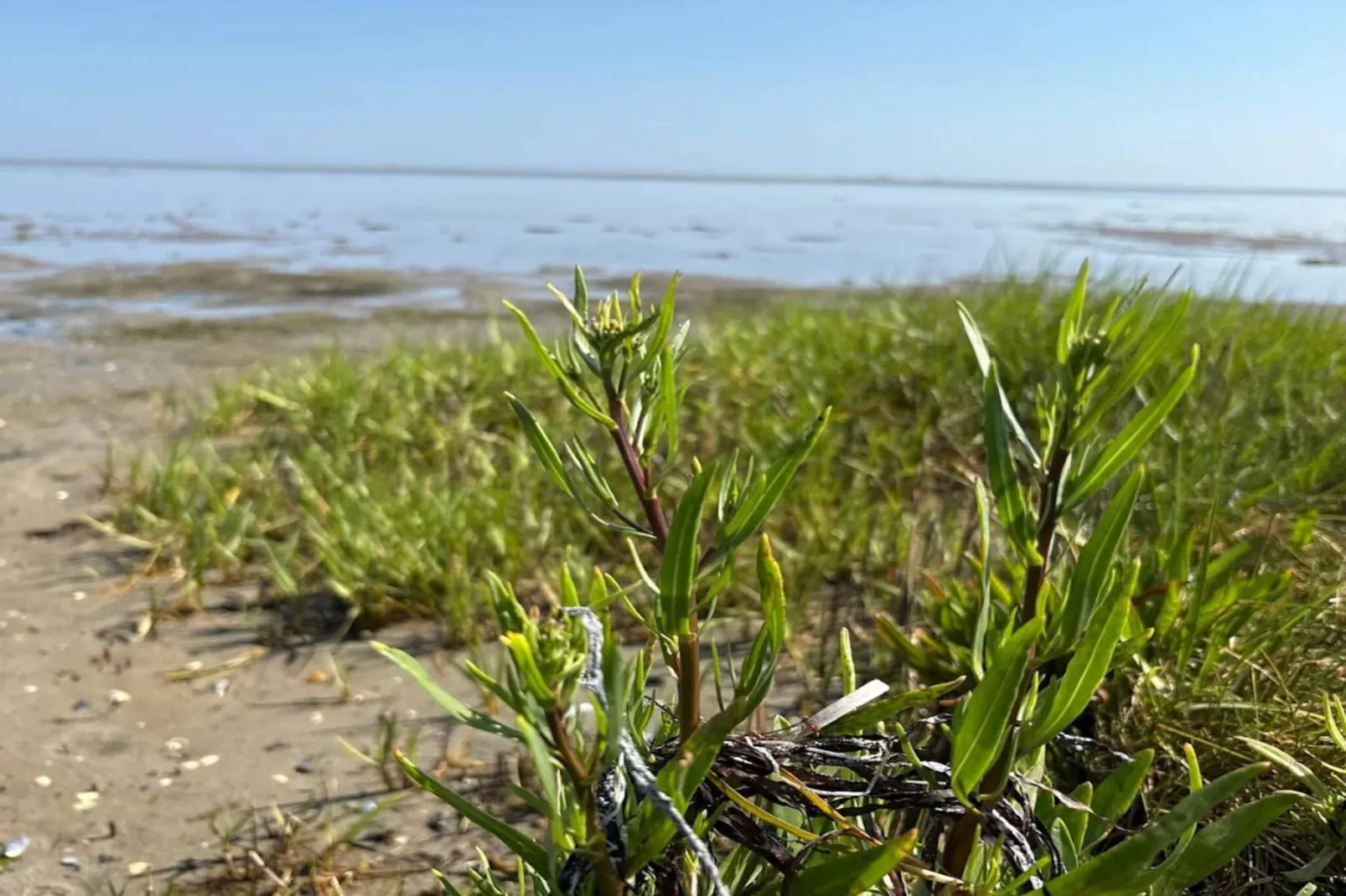 11 Personen Ferienhaus in Ørsted-By Traum-Wasserblick