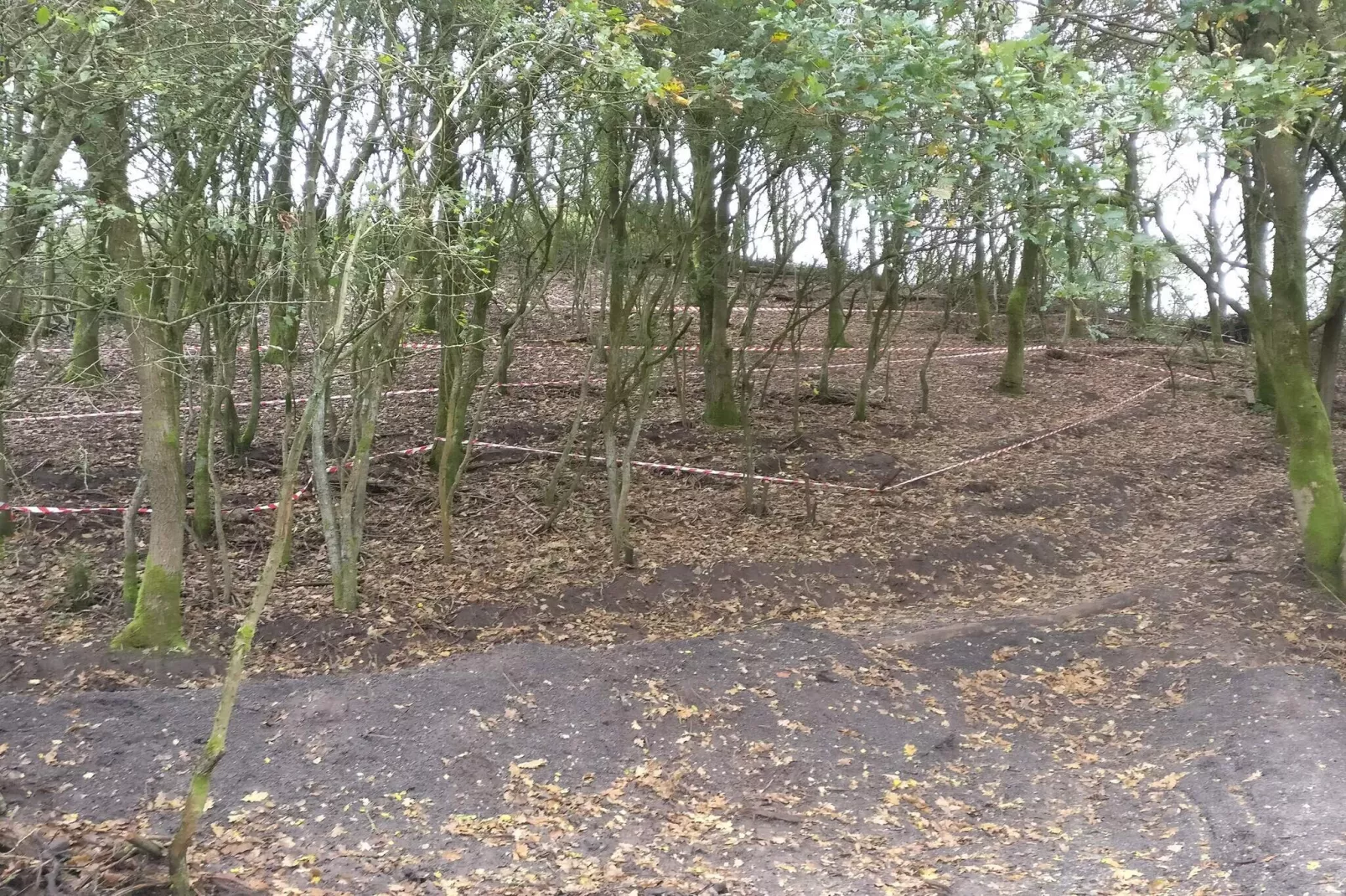 5 Personen Ferienhaus in Esbjerg V-By Traum-Nicht zugeordnet