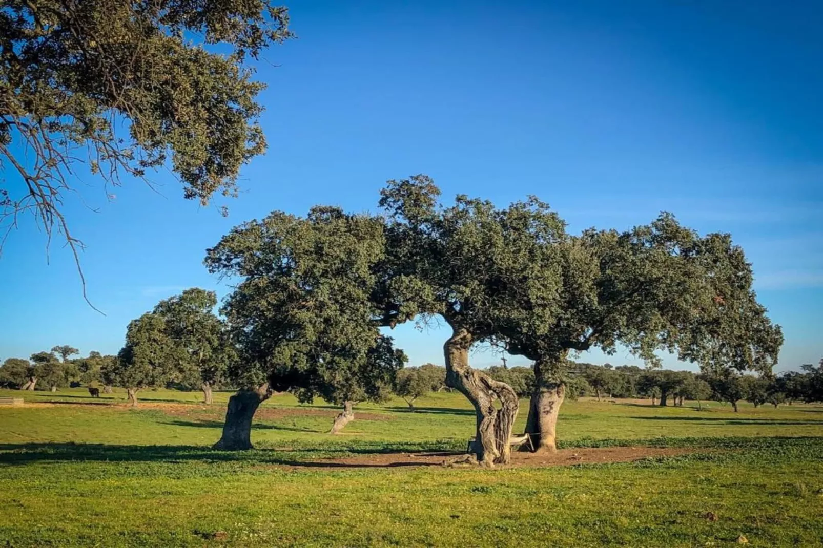 Villapark Ehzerburg 1-Zones été à 20 km