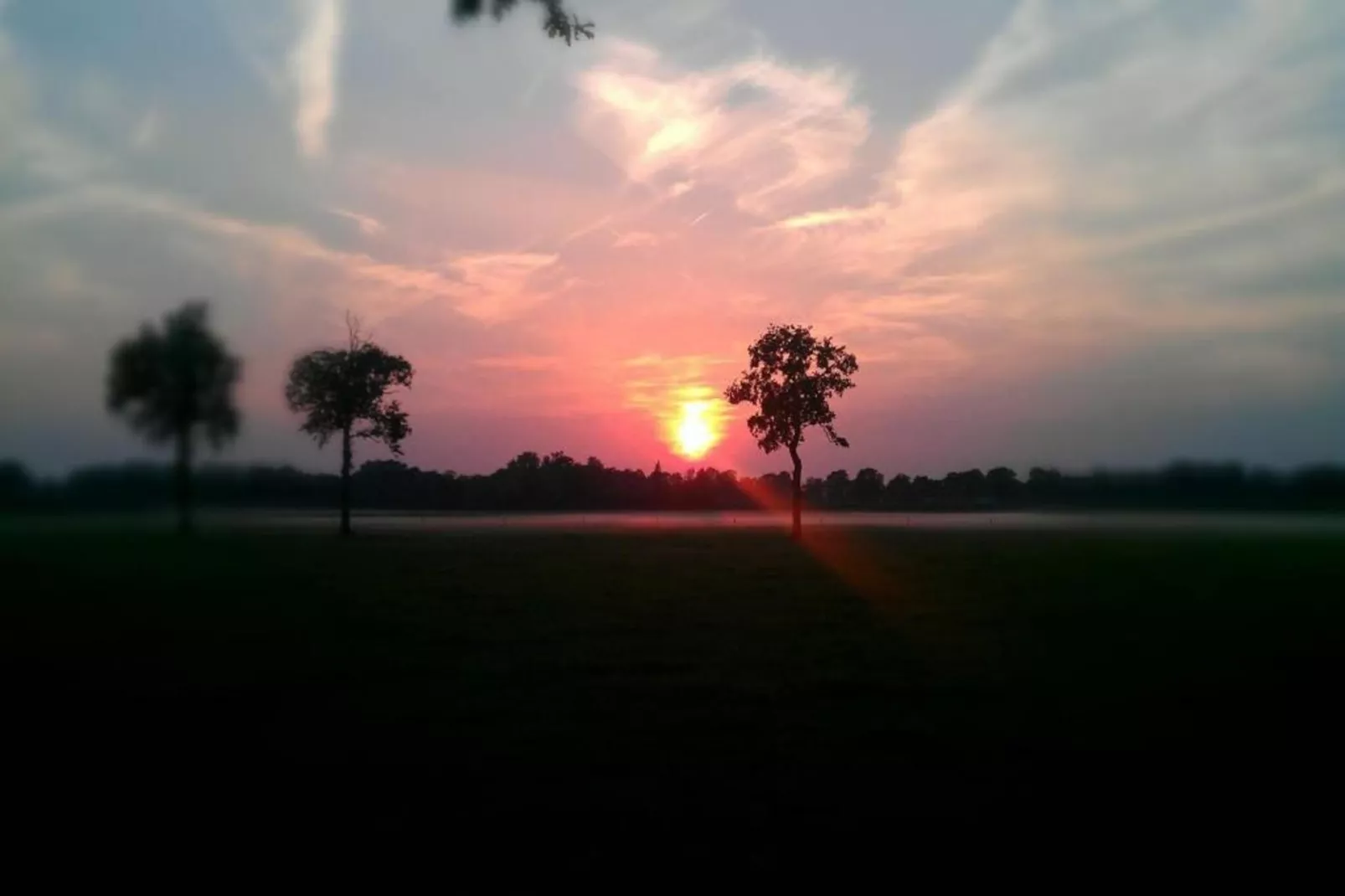 Bospark Markelo 2-Areas within 20km in summer